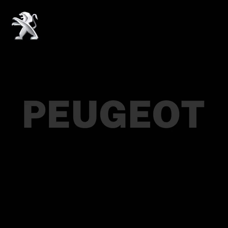 S.Plaque Peugeot — Plaque d'immat