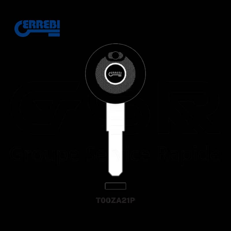 T00ZA21P — porte puce