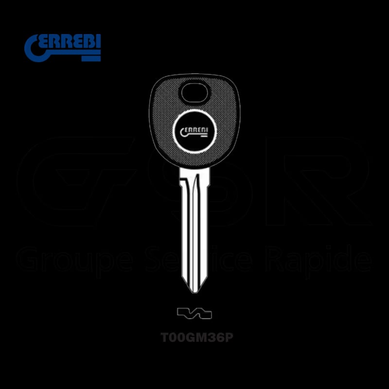 T00GM36P — porte puce