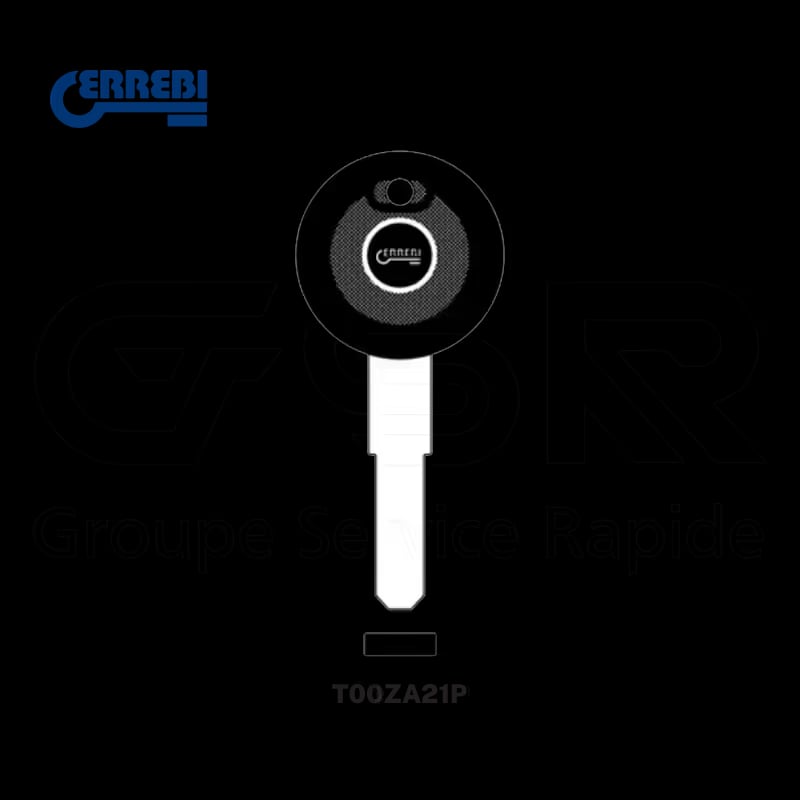 T00ZA21P — porte puce