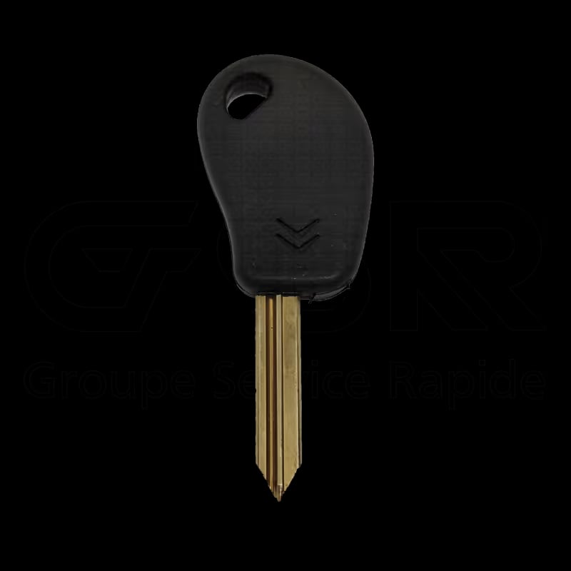 P.P Berlingo CH — porte puce
